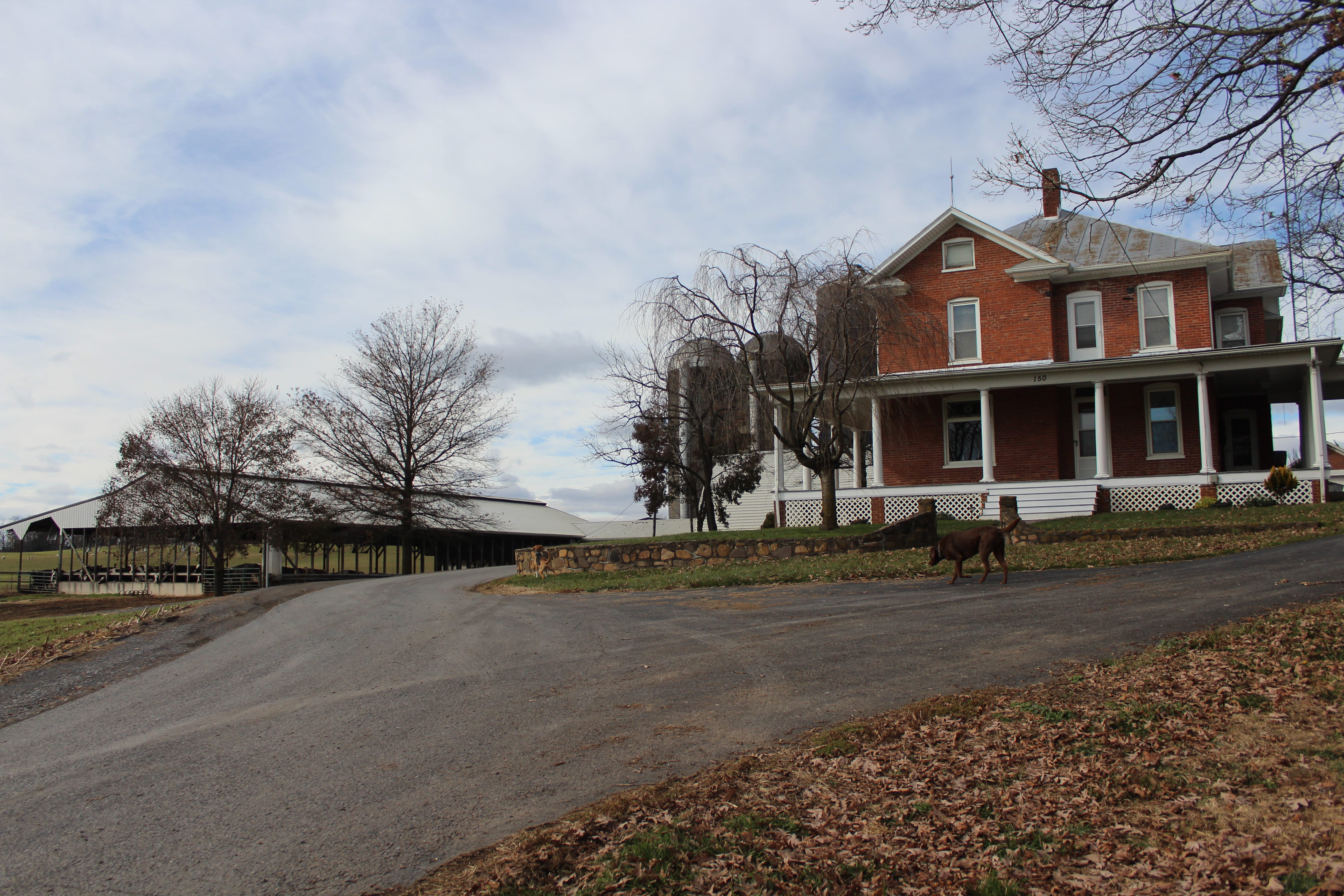 Drowning in milk The plight of a familyowned Virginia dairy farm