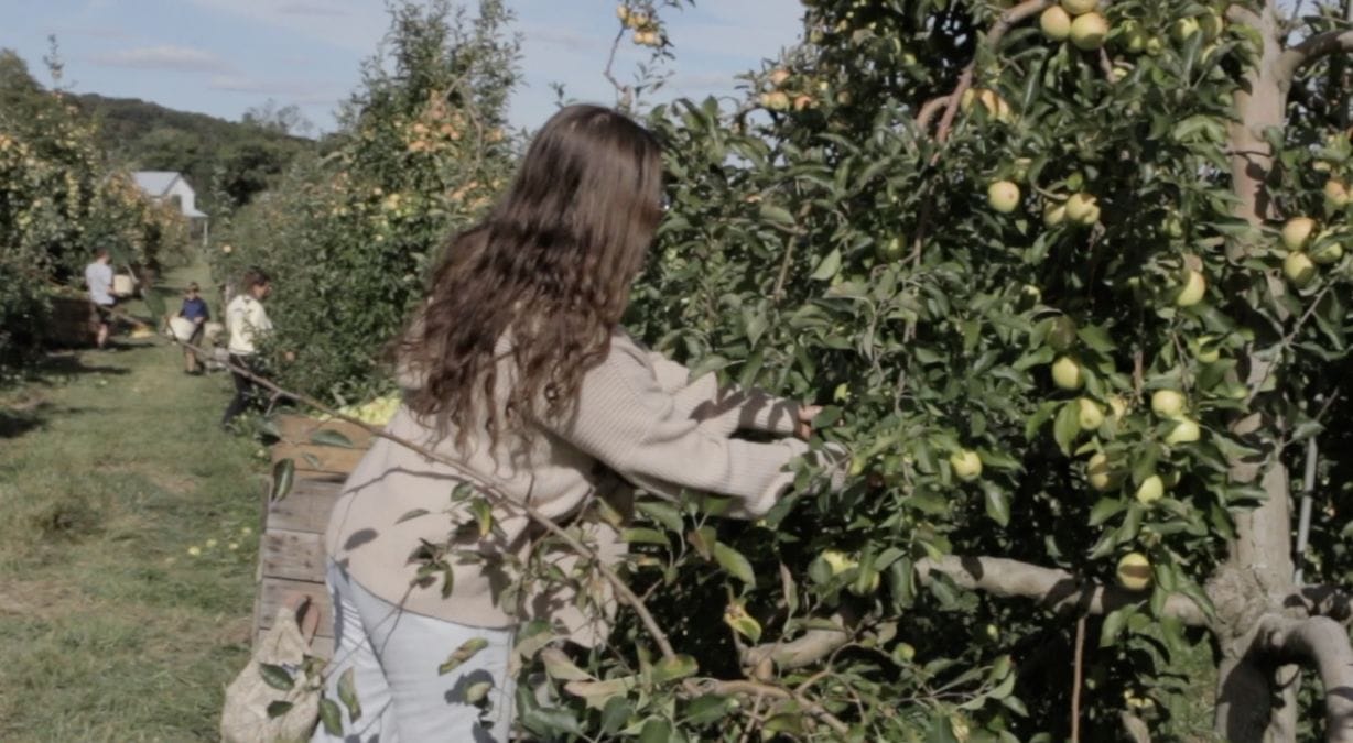 People picking apples