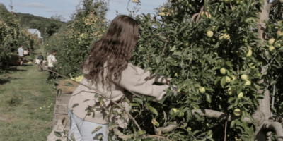 People picking apples