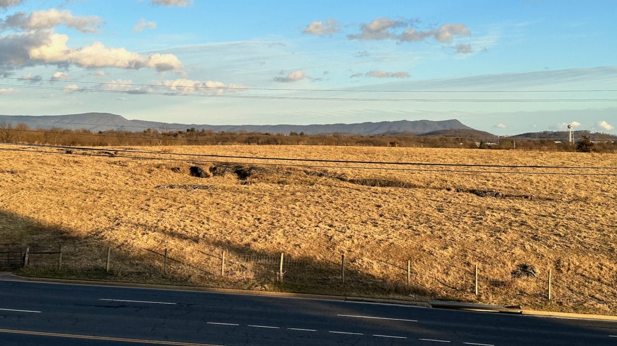 Image of grassy land