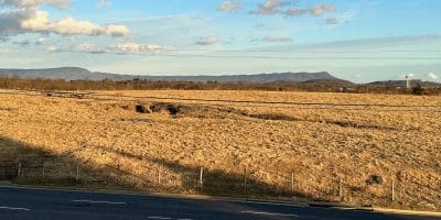 Image of grassy land