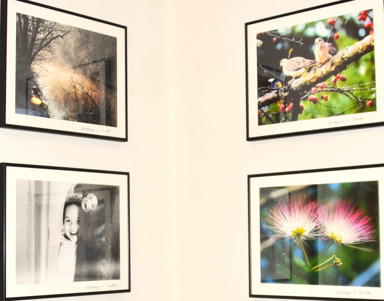 Four framed artistic photographs show birds, flowers and a child